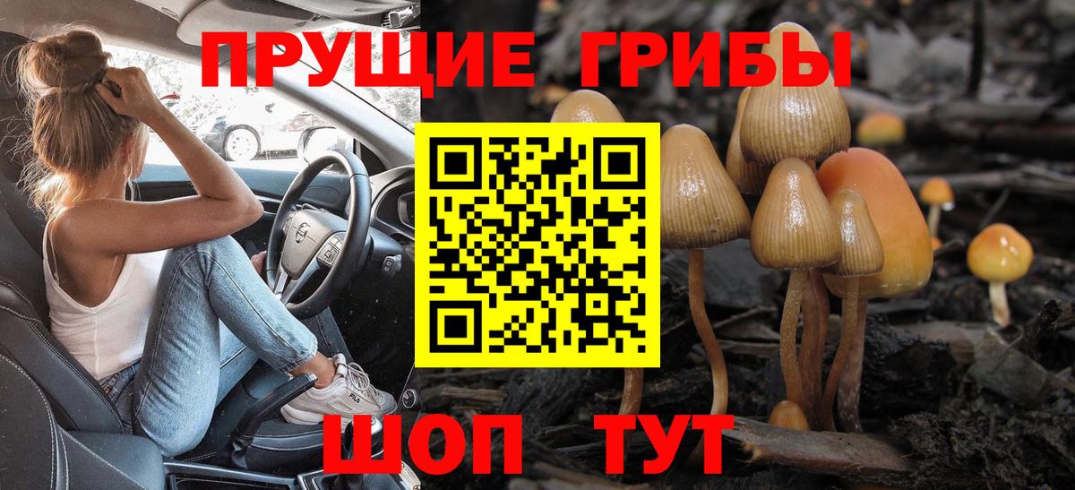 Галлюциногенные грибы ЛСД Мурино