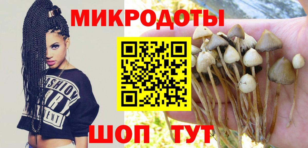 Галлюциногенные грибы прущие грибы  Галлюциногенные грибы ЛСД  Мурино  Вход с VPN 